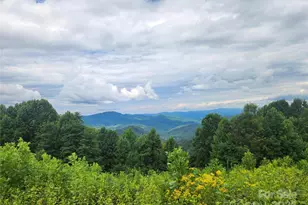 1925 S Fork Rd, Marshall, NC 28753 - Photo 39