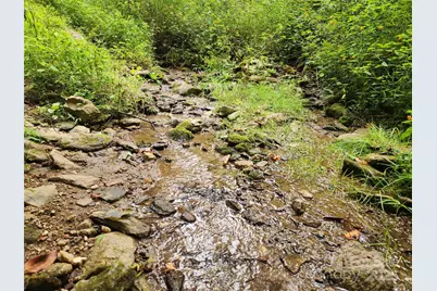 1925 S Fork Road, Marshall, NC 28753 - Photo 17