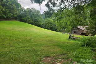 1925 S Fork Rd, Marshall, NC 28753 - Photo 11