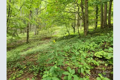 1925 S Fork Road, Marshall, NC 28753 - Photo 23