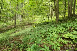 1925 S Fork Rd, Marshall, NC 28753 - Photo 23
