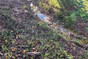 9525 Mull Rd, Vale, NC 28168 - Photo 35