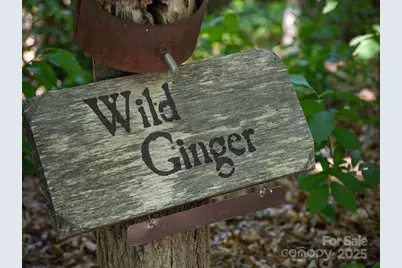 139 (#34) Boarding House Way, Sylva, NC 28779 - Photo 13