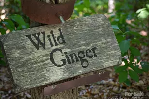 139 Boardinghouse Wy #34, Sylva, NC 28779 - Photo 13