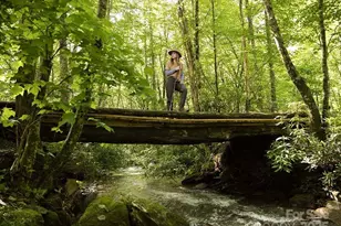 139 Boardinghouse Wy #34, Sylva, NC 28779 - Photo 31