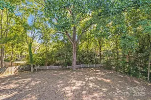 10437 Rougemont Ln, Charlotte, NC 28277 - Photo 43