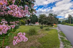 165 Cattail Creek Rd, Burnsville, NC 28714 - Photo 3