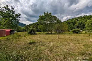 165 Cattail Creek Rd, Burnsville, NC 28714 - Photo 13