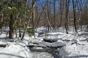 1870 Hwy 49 Hwy, New London, NC 28127 - Photo 11