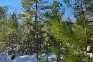 1870 Hwy 49 Hwy, New London, NC 28127 - Photo 13