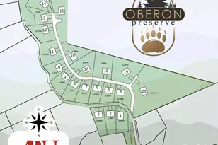 344 Espen Rdg, Asheville, NC 28804 - Photo 13