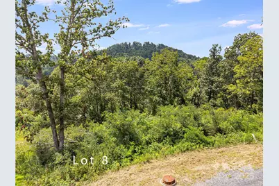 344 Espen Ridge #8, Asheville, NC 28804 - Photo 5