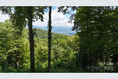 2222 Sleepy Hollow Drive, Waynesville, NC 28785 - Photo 3