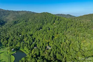 39 Ox Bow Xing, Weaverville, NC 28787 - Photo 47