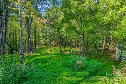 135 Medford Road, Tryon, NC 28782 - Photo 5