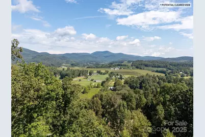 138 Lindsley Court, Hendersonville, NC 28792 - Photo 21