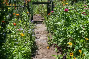 9 W St Ext, Asheville, NC 28801 - Photo 45