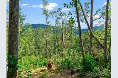 99999 Youngs Gap Road, Fletcher, NC 28732 - Photo 25
