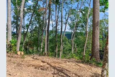 99999 Youngs Gap Road, Fletcher, NC 28732 - Photo 5