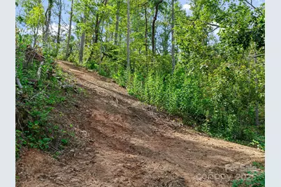 99999 Youngs Gap Road, Fletcher, NC 28732 - Photo 17