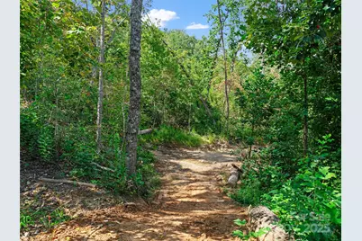 99999 Youngs Gap Road, Fletcher, NC 28732 - Photo 23