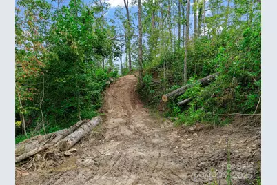99999 Youngs Gap Road, Fletcher, NC 28732 - Photo 11