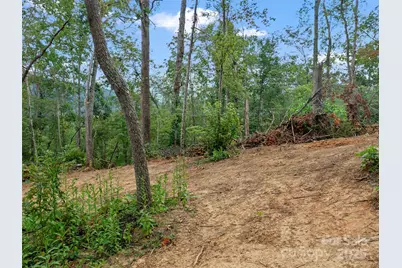 99999 Youngs Gap Road, Fletcher, NC 28732 - Photo 19