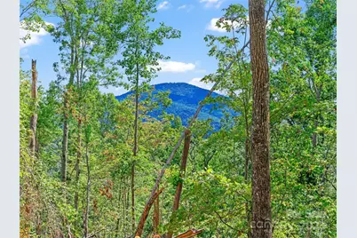 99999 Youngs Gap Road, Fletcher, NC 28732 - Photo 9