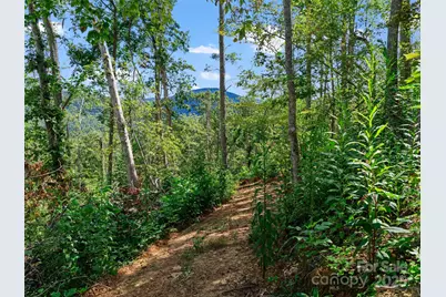99999 Youngs Gap Road #North Lot, Fletcher, NC 28732 - Photo 15