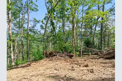 99999 Youngs Gap Road #North Lot, Fletcher, NC 28732 - Photo 7