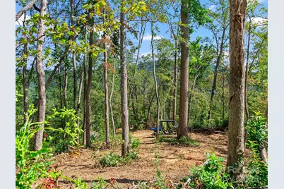 99999 Youngs Gap Road #South Lot, Fletcher, NC 28732 - Photo 5