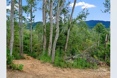 99999 Youngs Gap Road #South Lot, Fletcher, NC 28732 - Photo 23