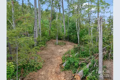 99999 Youngs Gap Road #South Lot, Fletcher, NC 28732 - Photo 21