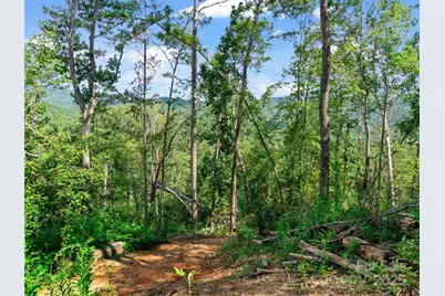 99999 Youngs Gap Road #South Lot, Fletcher, NC 28732 - Photo 13