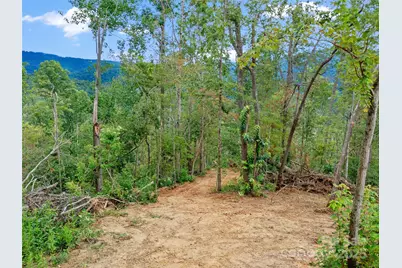 99999 Youngs Gap Road #South Lot, Fletcher, NC 28732 - Photo 25