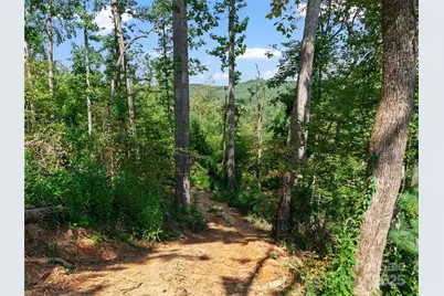 99999 Youngs Gap Road #South Lot, Fletcher, NC 28732 - Photo 9