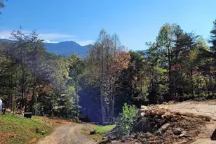 53 Dakota Wy, Bryson City, NC 28713 - Photo 9