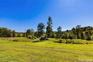 653 Mag Sluder Rd, Alexander, NC 28701 - Photo 7