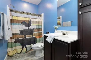 653 Mag Sluder Rd, Alexander, NC 28701 - Photo 21