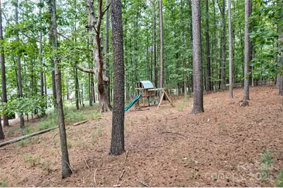 16320 Here At Last Lane, Charlotte, NC 28278 - Photo 47