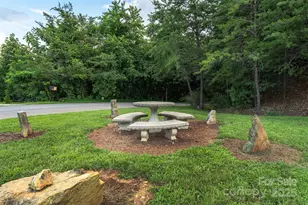 18 Timber Moss Dr, Asheville, NC 28804 - Photo 33