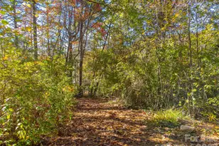 120 Trimont Trail, Franklin, NC 28734 - Photo 7