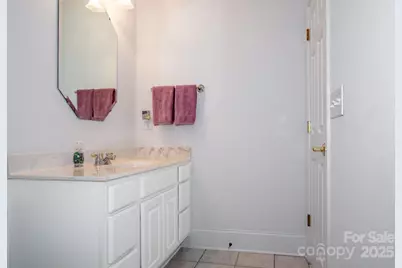 214 Wildwood Cove Drive, Mooresville, NC 28117 - Photo 29