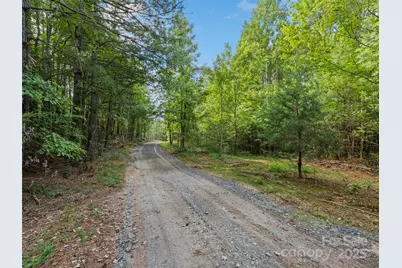 0000 Bostic Sunshine Highway, Bostic, NC 28018 - Photo 7