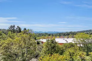 17 Elkmont Terrace, Asheville, NC 28804 - Photo 19