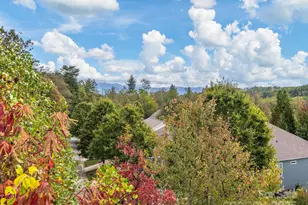 78 Rose Creek Rd, Leicester, NC 28748 - Photo 23