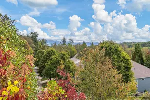 78 Rose Creek Rd, Leicester, NC 28748 - Photo 31