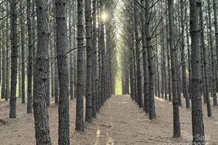 1619 Ellis Belk Rd, Monroe, NC 28112 - Photo 43