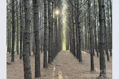 1619 Ellis Belk Road, Monroe, NC 28112 - Photo 43