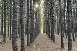 1619 Ellis Belk Rd, Monroe, NC 28112 - Photo 43